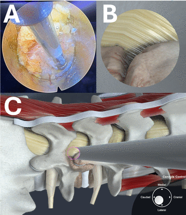 Figure 13